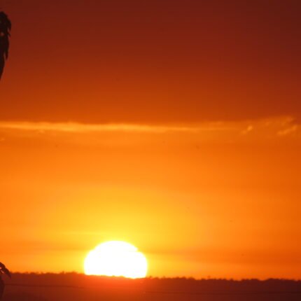 Awesome sunset in Uganda